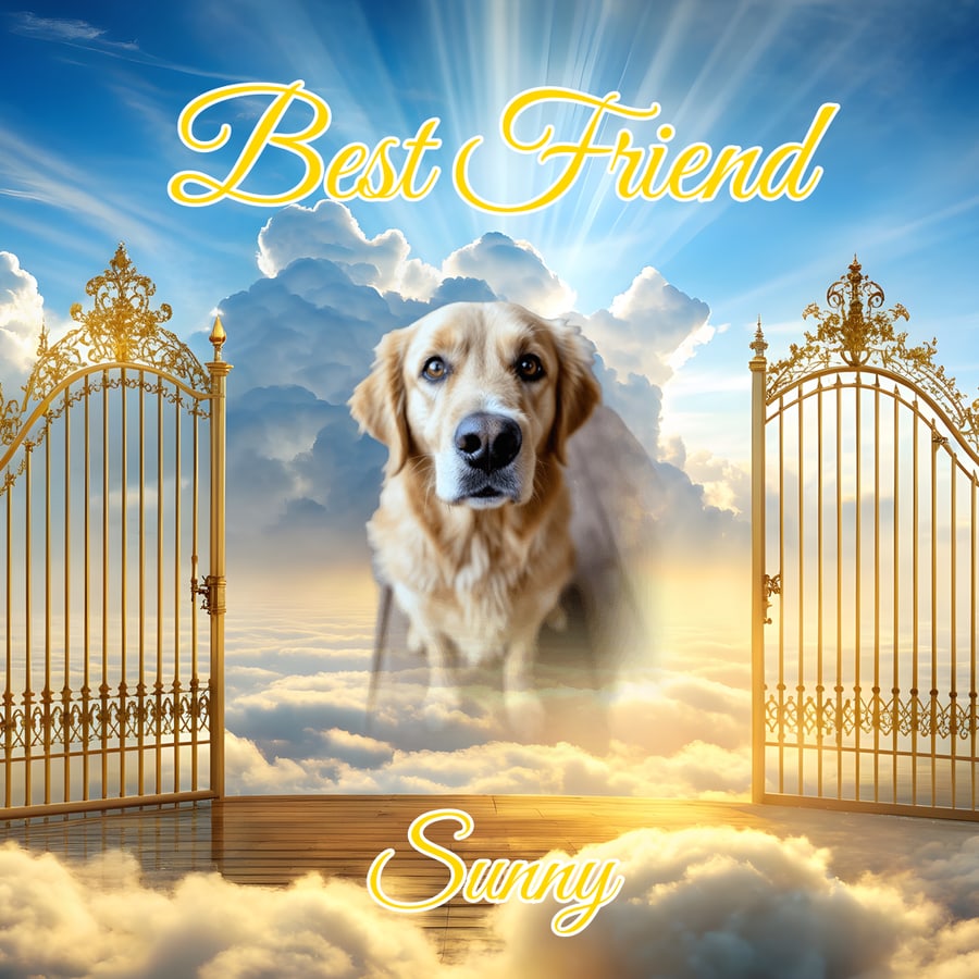 Heavenly Gates Classic pet shirt design — custom with your pet's photo