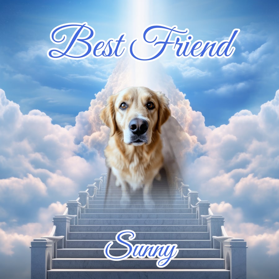 Celestial Light pet shirt design — custom with your pet's photo