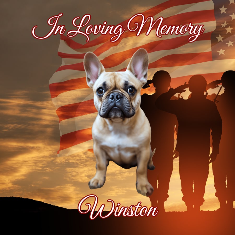 Honor & Valor pet shirt design — custom with your pet's photo