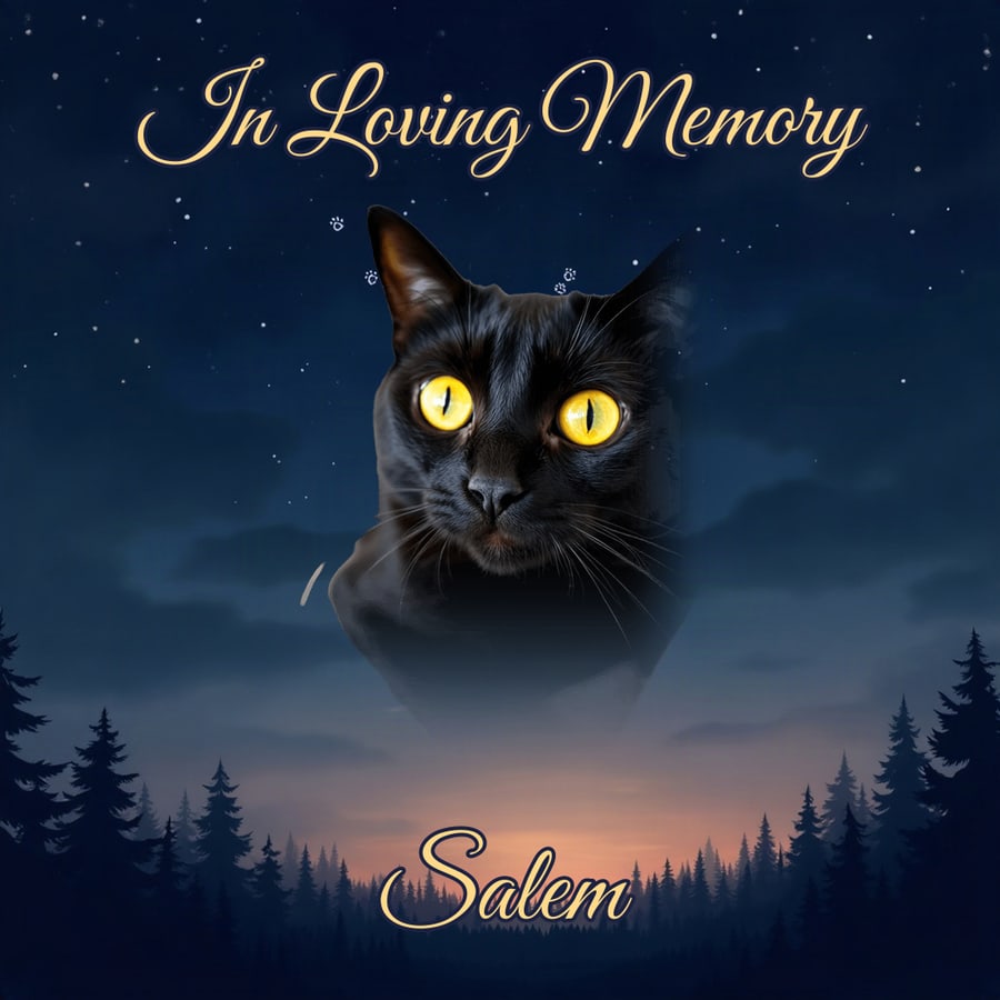 Paw Constellation pet shirt design — custom with your pet's photo